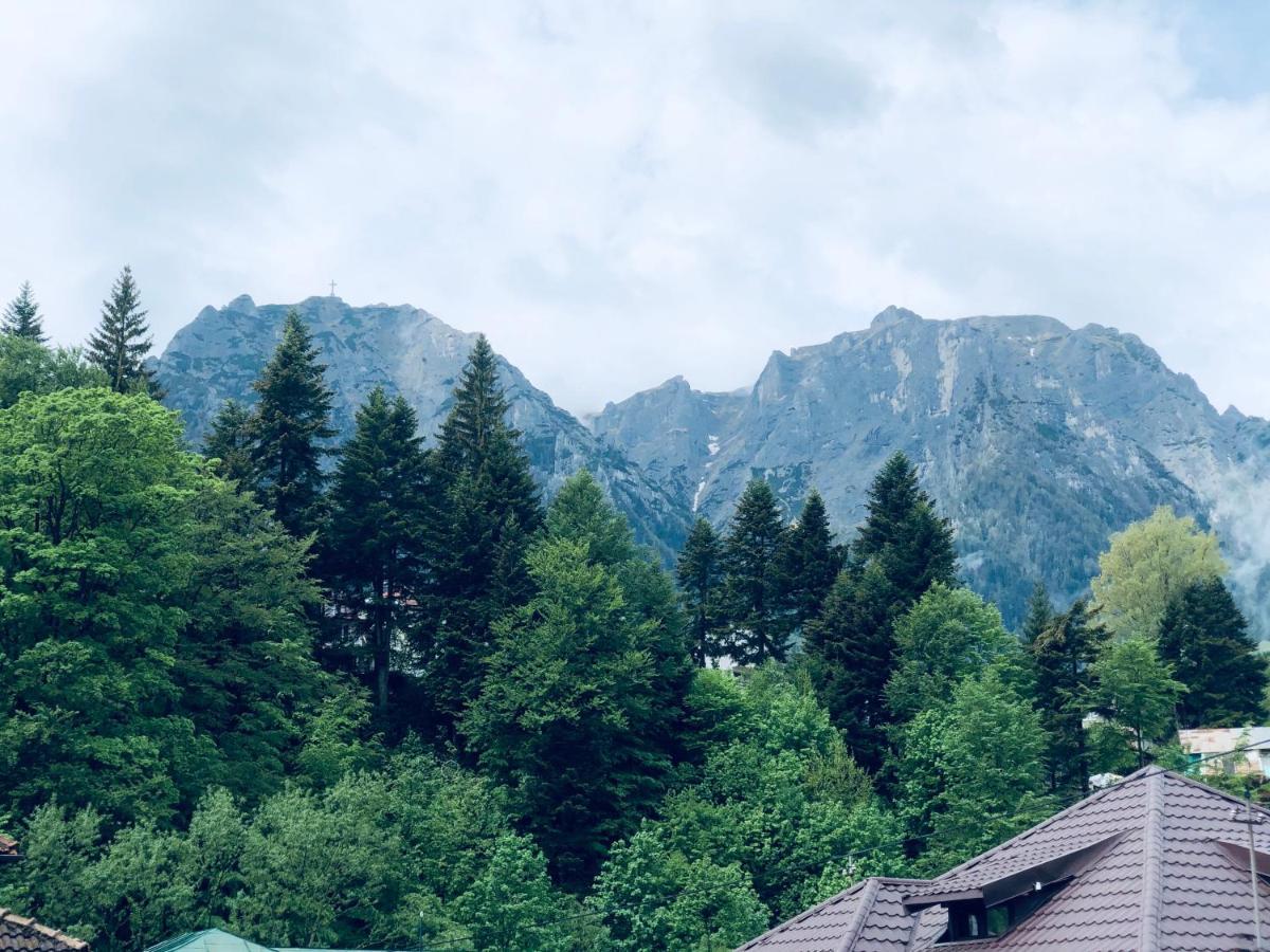 Pensiunea Sport Buşteni 外观 照片
